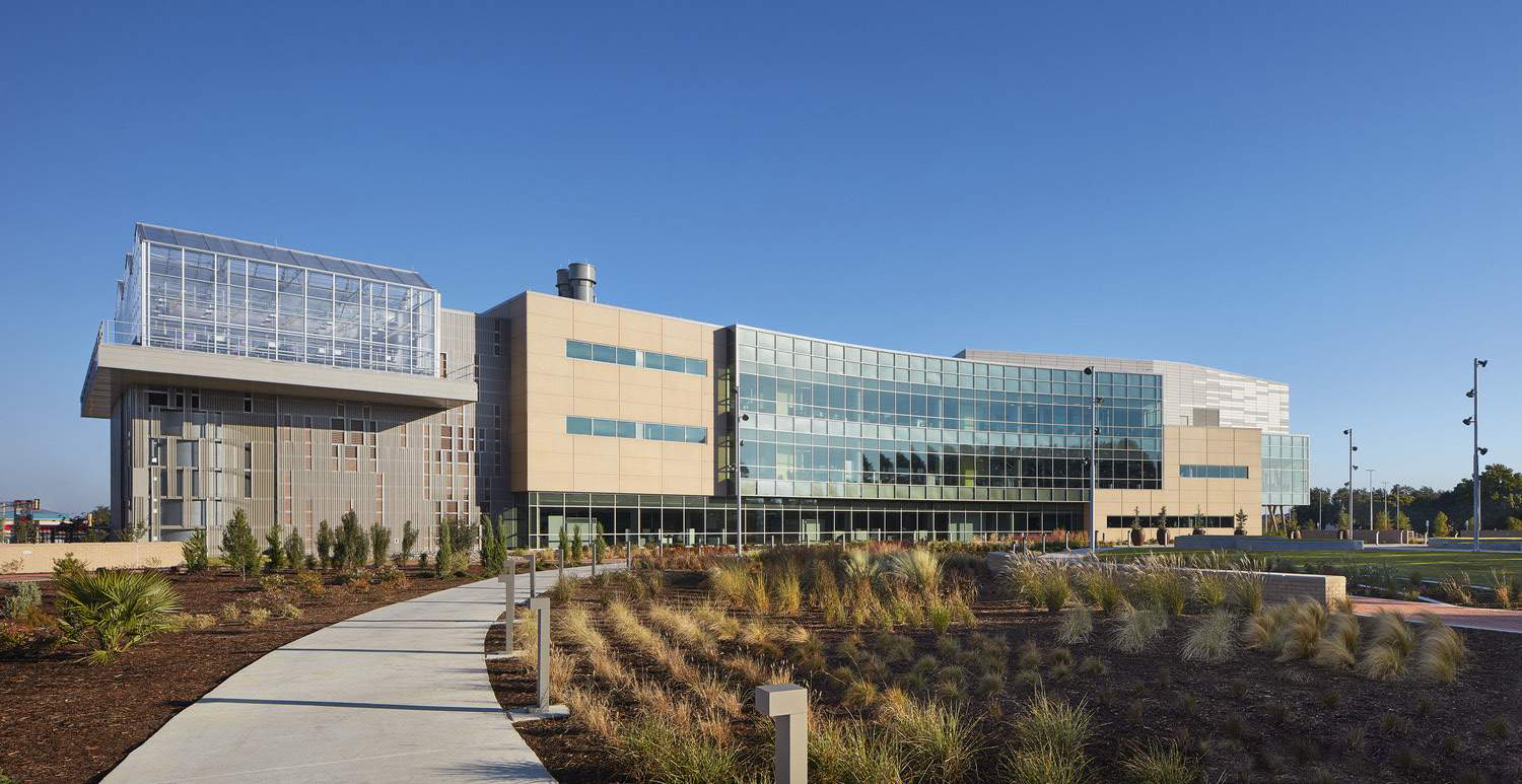 TAMU Agrilife Extension