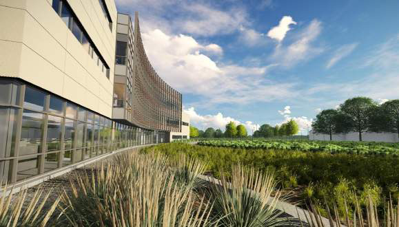 TAMU Agrilife Extension
