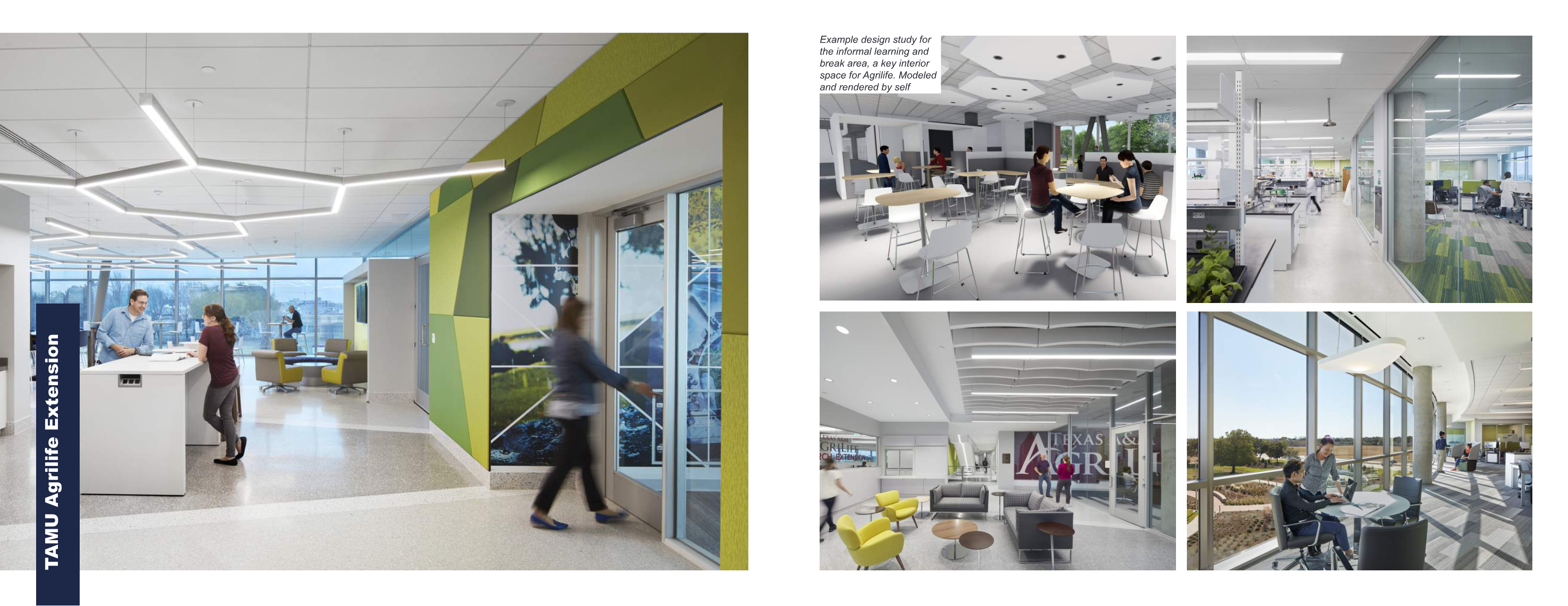 TAMU Agrilife Interior